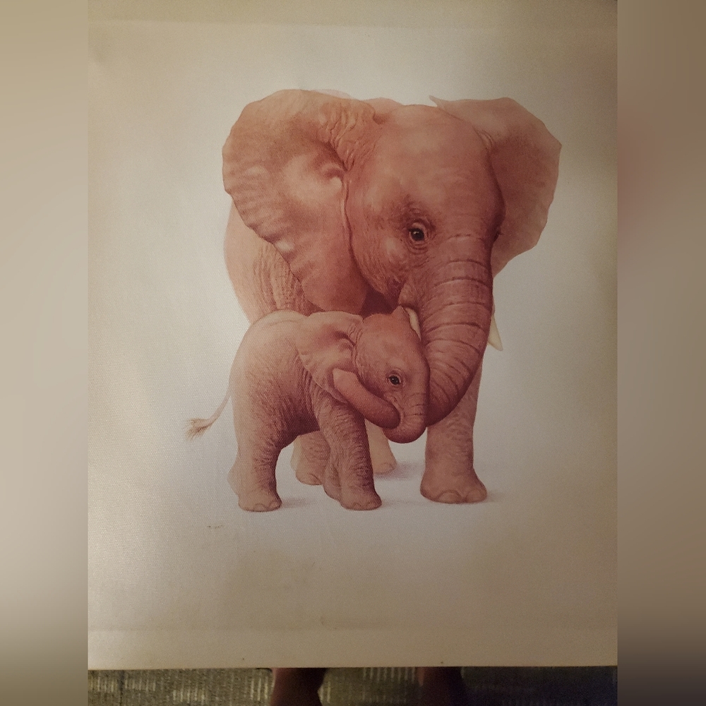 Elephants on Canvas